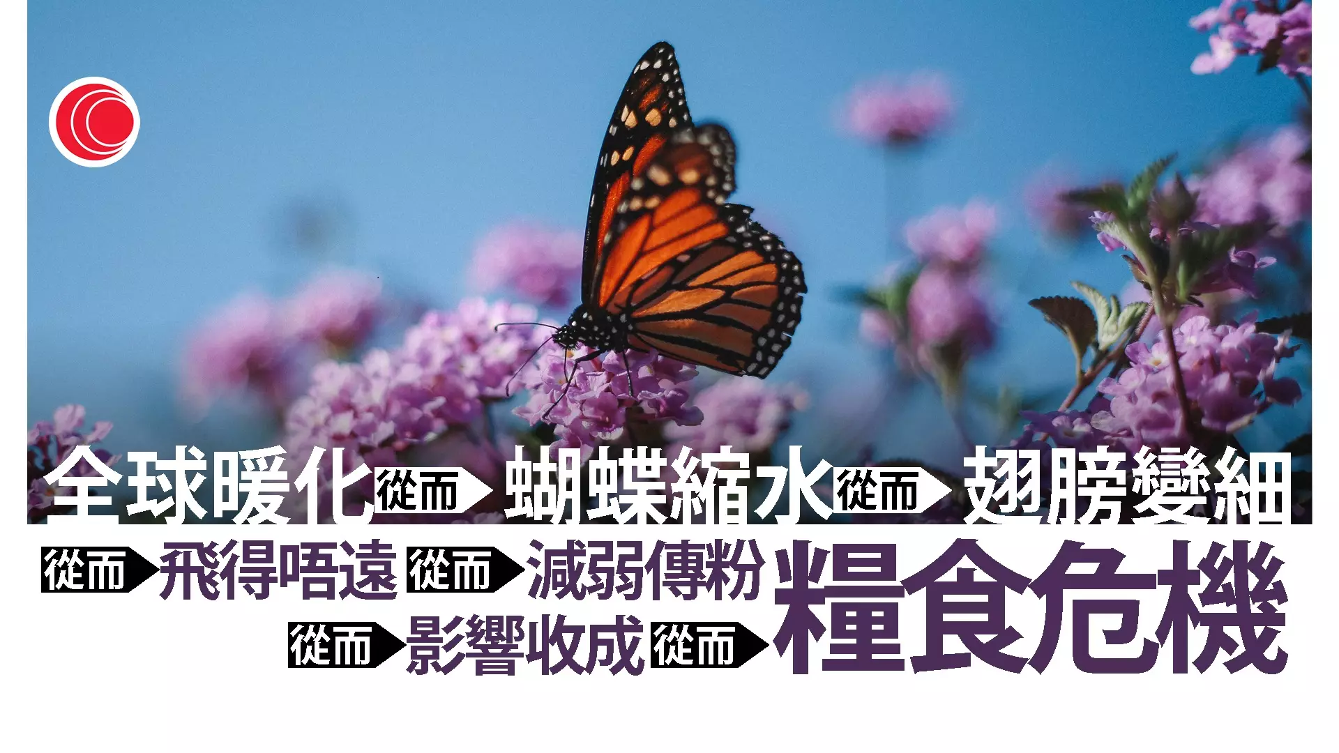 新聞通識 有線寬頻i Cable 新聞通識 有線寬頻i Cable