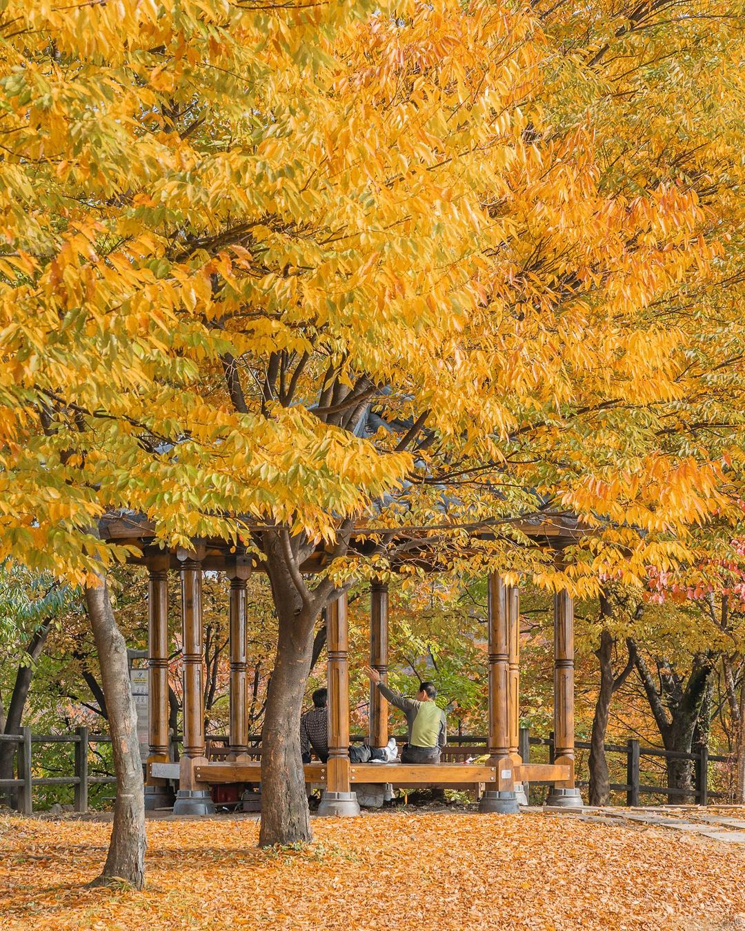 南山公園－_yoonic-3