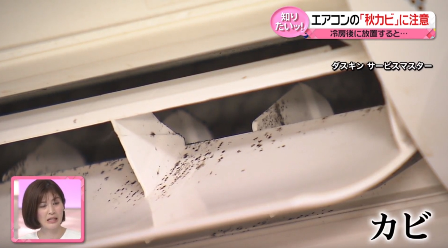 2022-10-18-11_01_45-【解説】カビ繁殖…実は秋も　エアコン放置で温床に　「夏じまい」３つのポイント