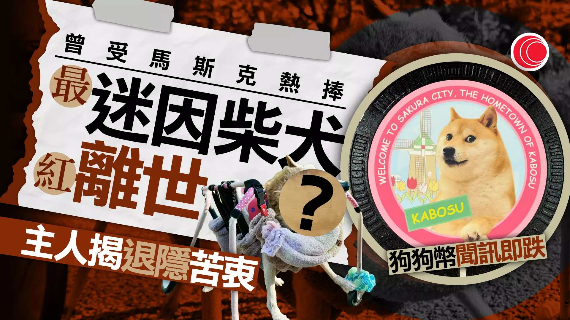 狗狗幣DOGE「本尊」離世由被遺棄變全球爆紅退隱皆因粉絲「好心做壞事」？ - 有線寬頻i-CABLE