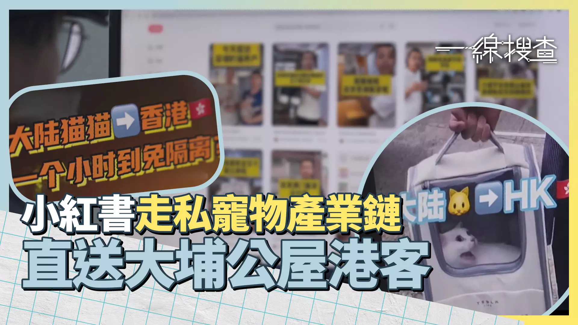 一線搜查|沙頭角走私寵物生意旺 小紅書網店「一小時送到」 避檢疫恐累瘋狗症爆發