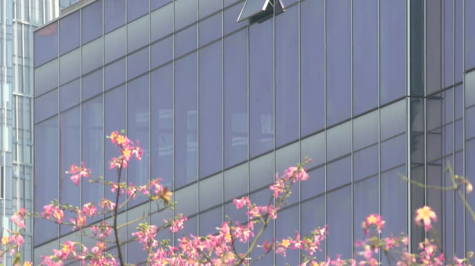 亞開行：港今明兩年經濟增長預測降至2%及2.1%　料未來數季增速放慢