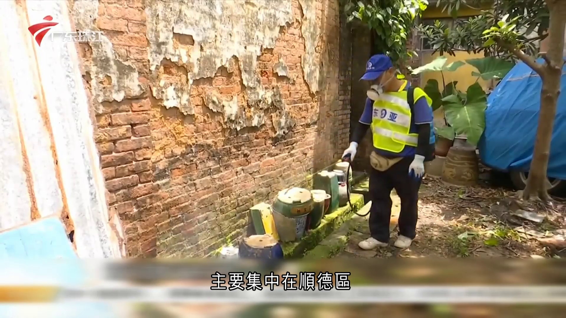 佛山基孔肯雅熱個案逾3千宗　國家疾控局派工作組指導