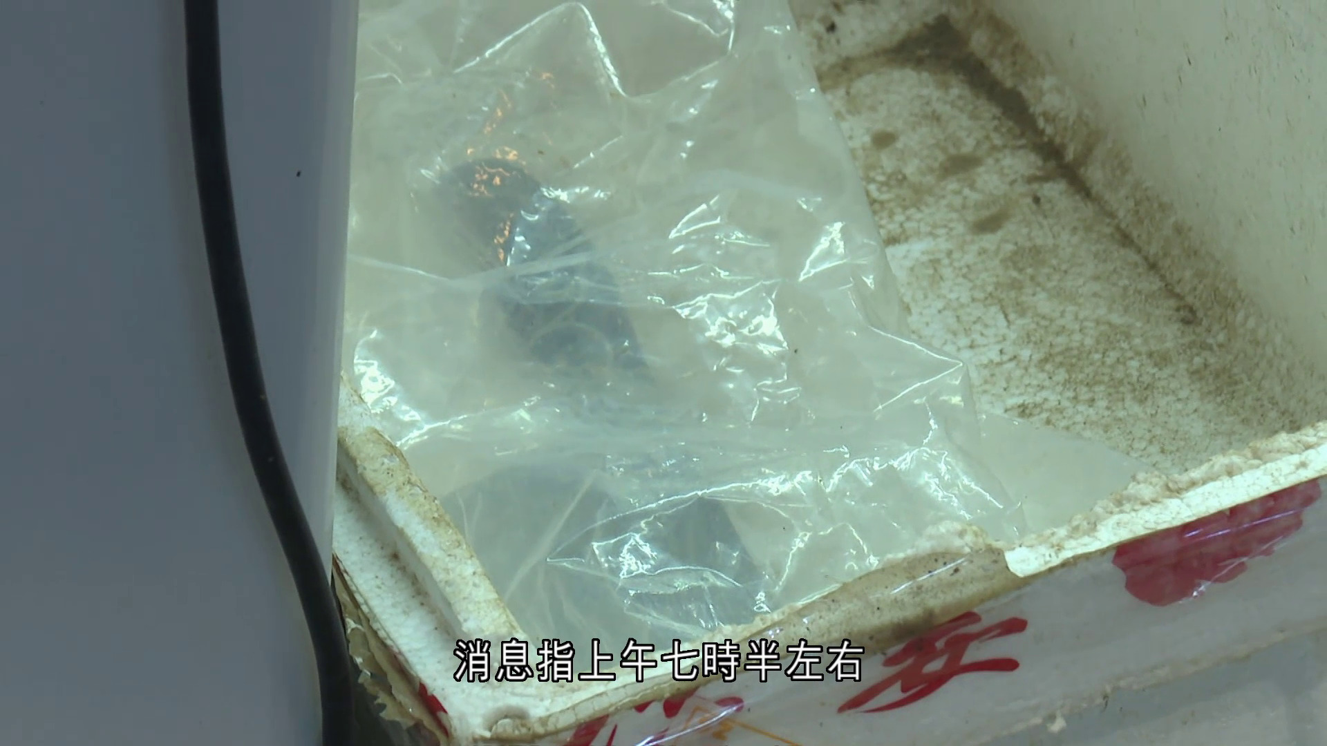 深水埗男子持刀傷人　警員擎槍制服帶返警署