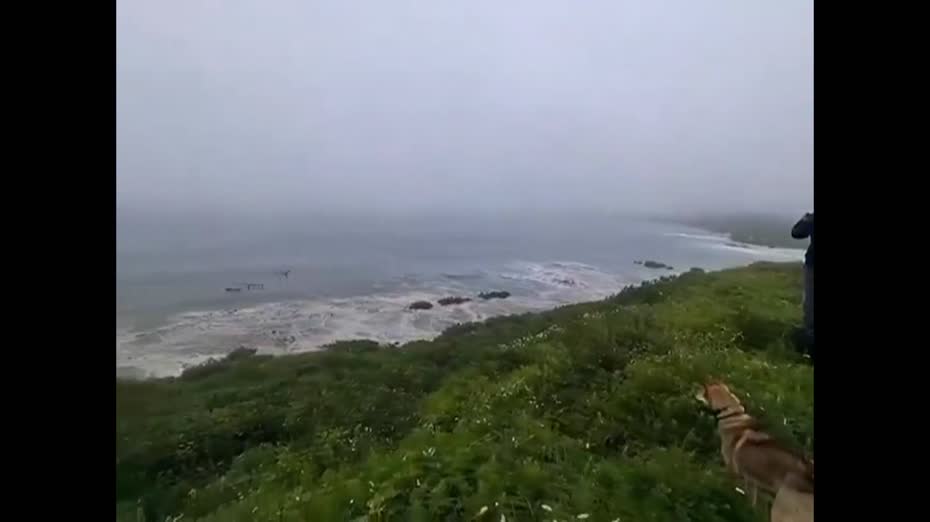 俄羅斯8.8級地震｜影片見民居劇烈搖晃　堪察加錄三、四米海嘯　多國同發警報