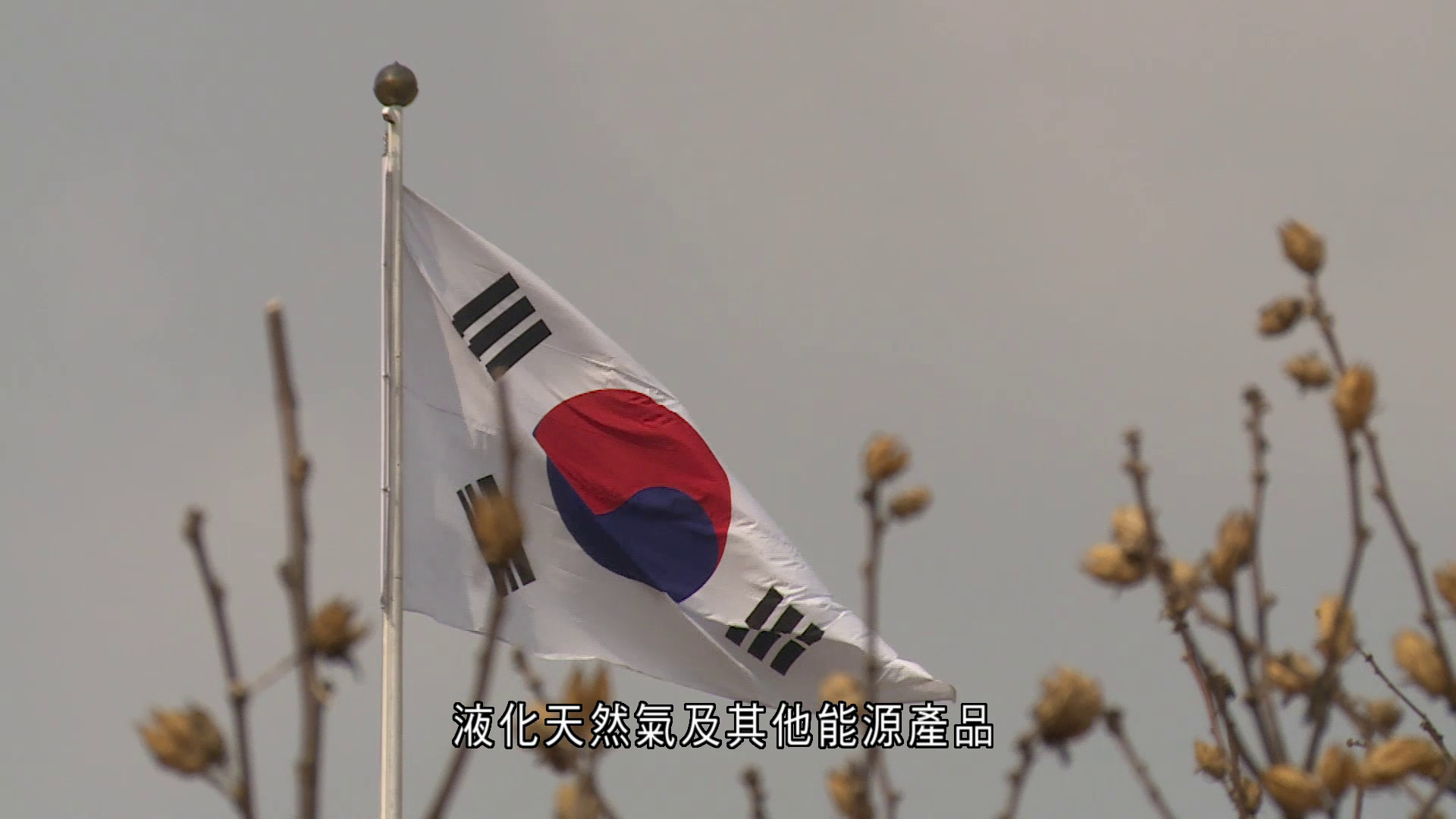 貿易戰｜美韓達成貿易協議　向南韓進口貨徵15%關稅