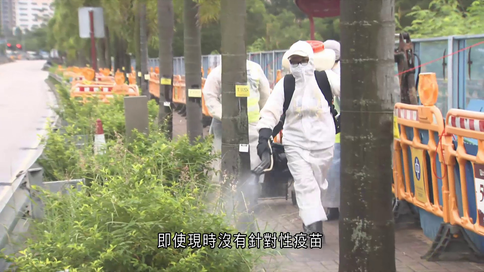 基孔肯雅熱｜料再現輸入個案風險高　衞生防護中心：粵港澳會通報病學信息、加強口岸巡查