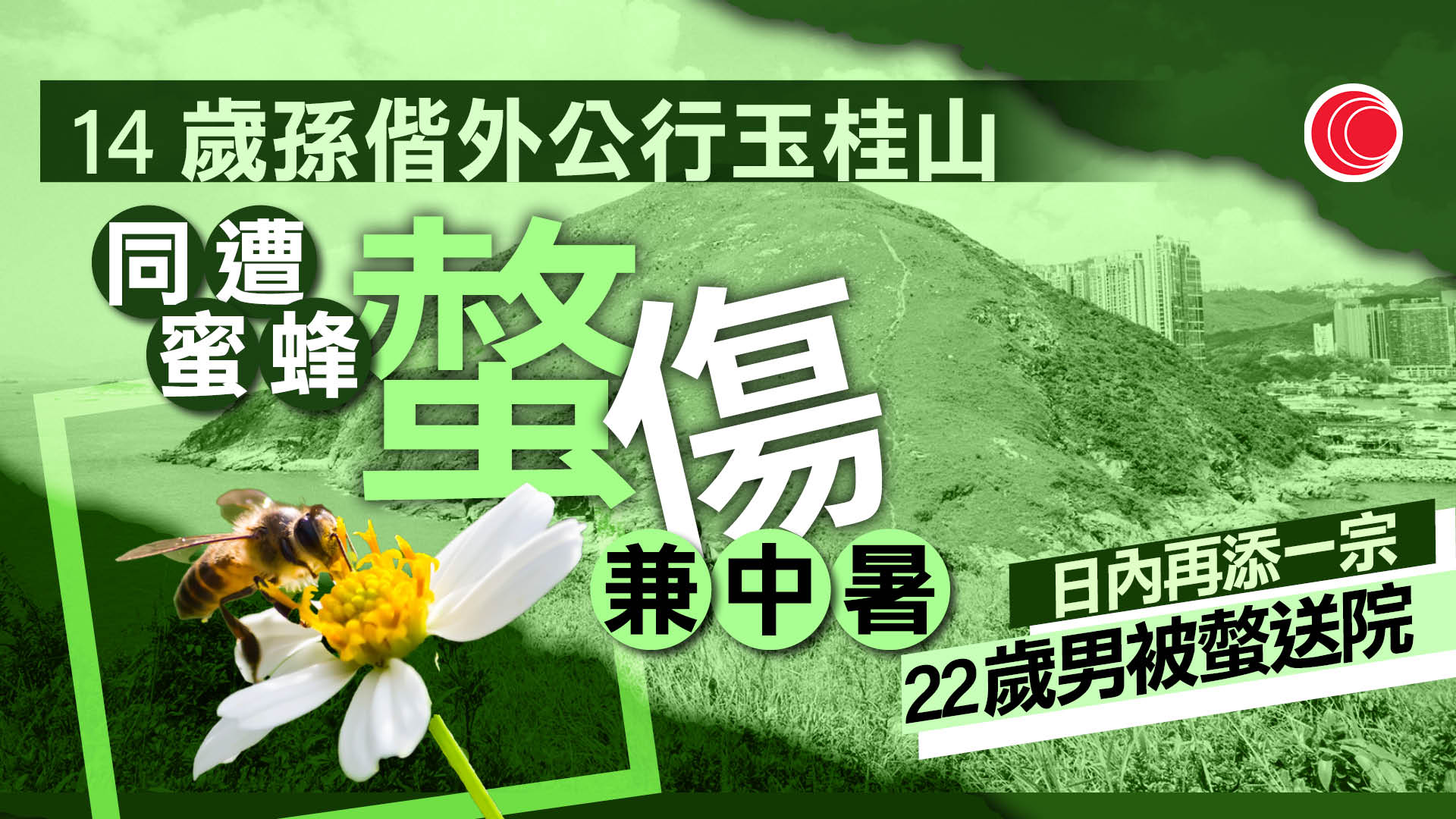 鴨脷洲玉桂山一日兩宗蜜蜂螫人　3人直升機救起送院