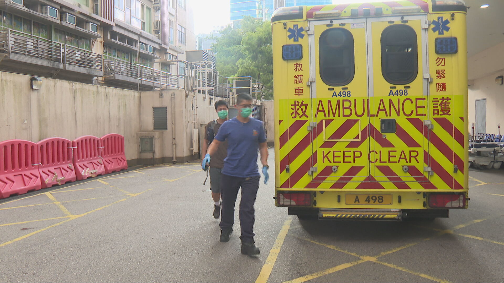 行山男城門水塘遭猴子襲擊　右腳受傷送院