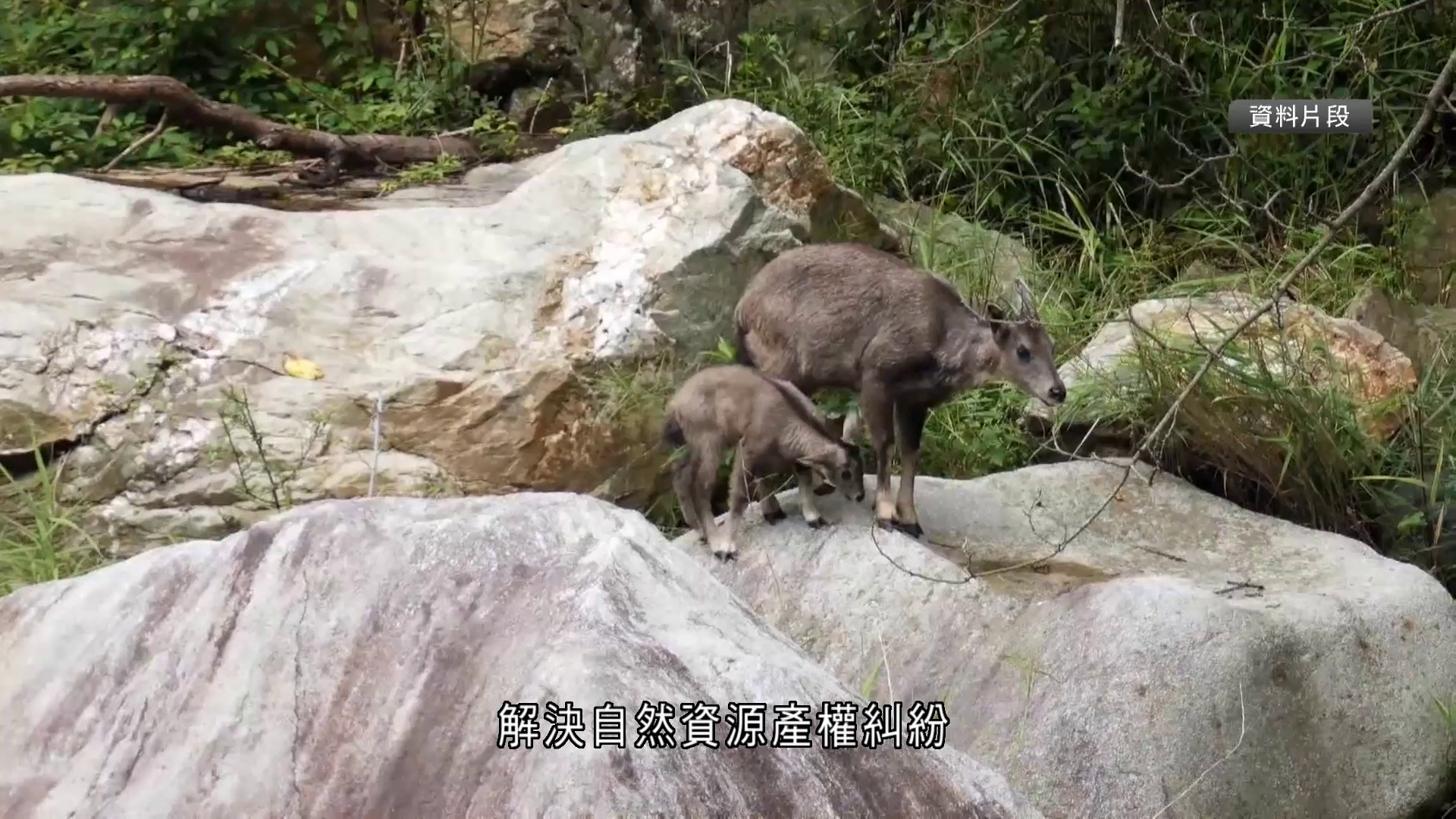 首批5個國家公園完成確權登記