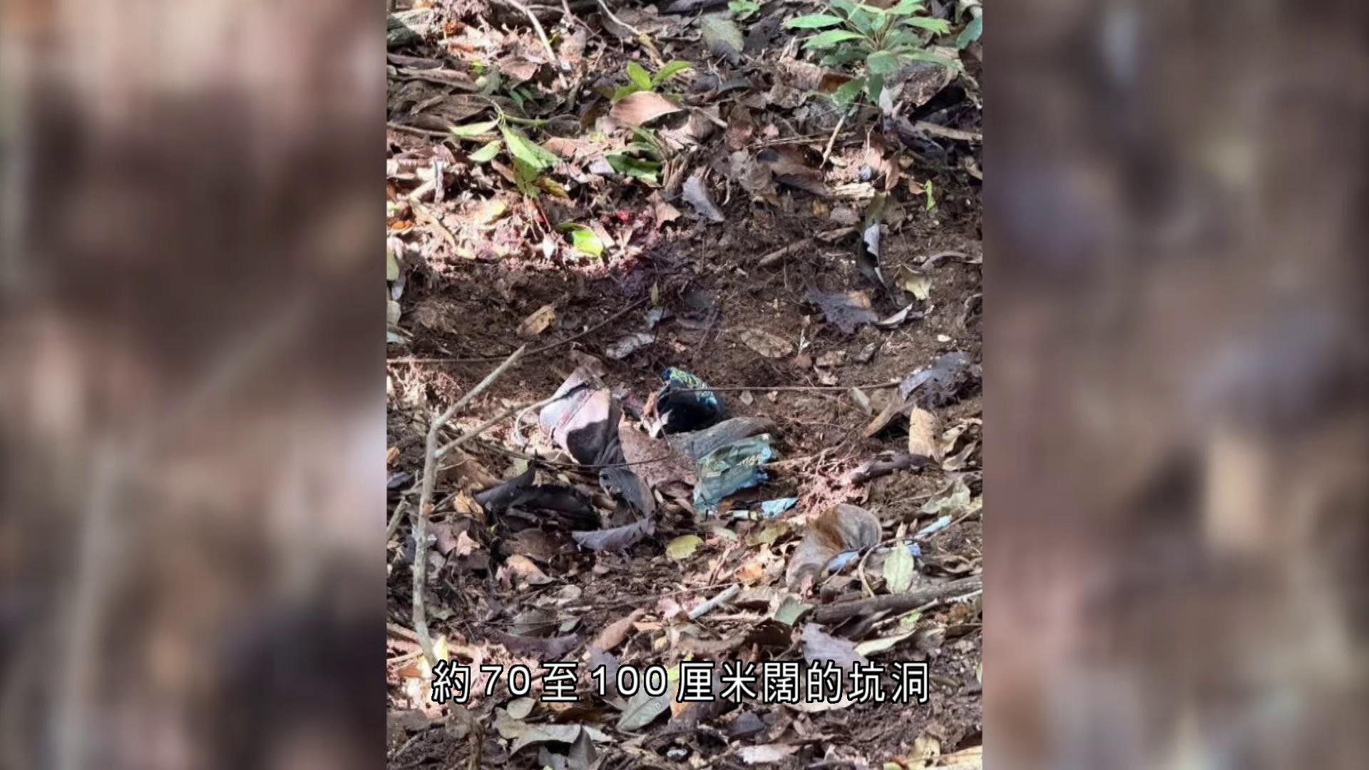 泰軍人邊境觸地雷受傷　指控柬埔寨違停火協議