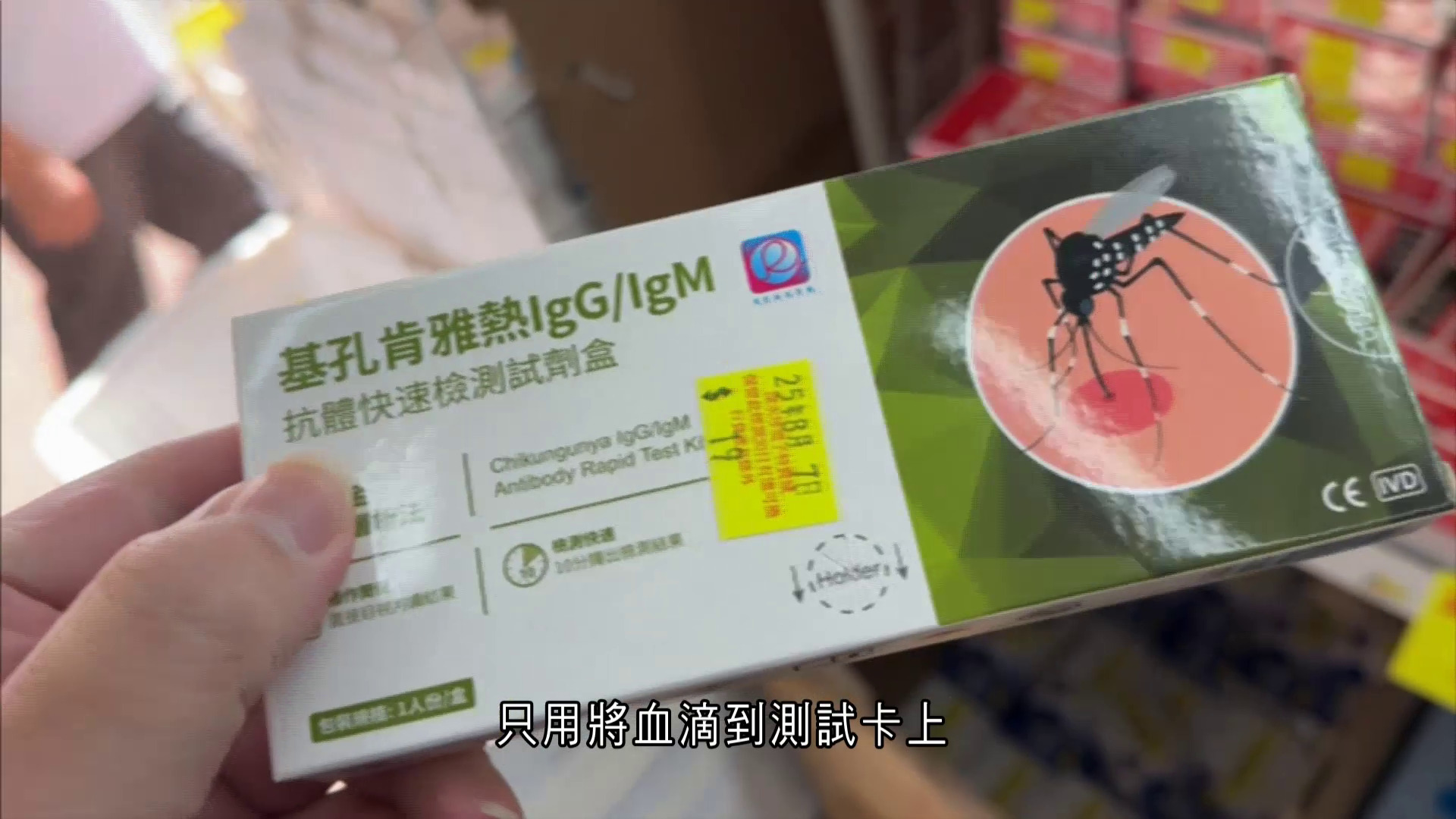 基孔肯雅熱｜市面售抗體快測包　歐家榮：不建議使用、恐現假陰性延誤醫治