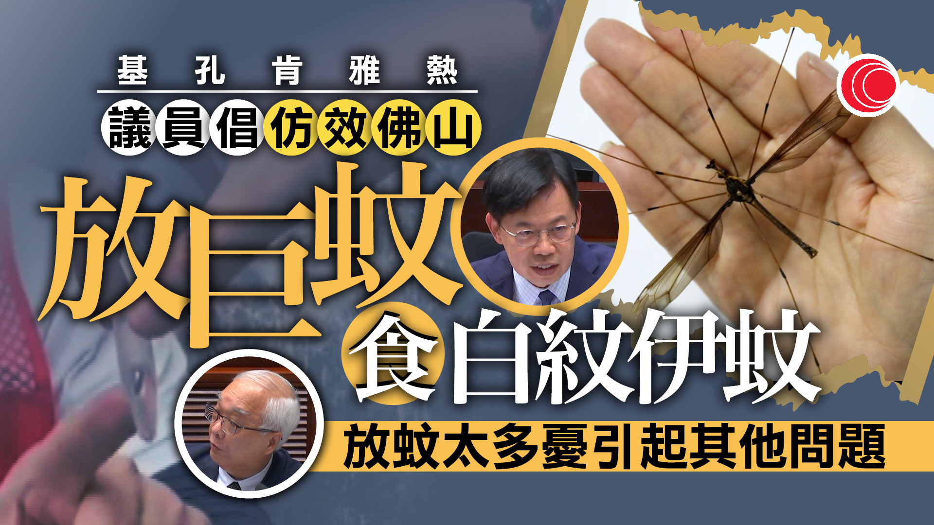 基孔肯雅熱｜議員倡仿效佛山「以蚊滅蚊」　謝展寰：會審視可行性　強調滅蚊工作無分地區