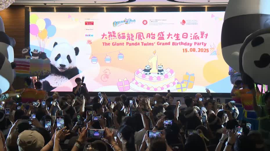 大熊貓｜海洋公園慶祝加加得得一歲生日　羅淑佩：多項活動與市民共享喜悅