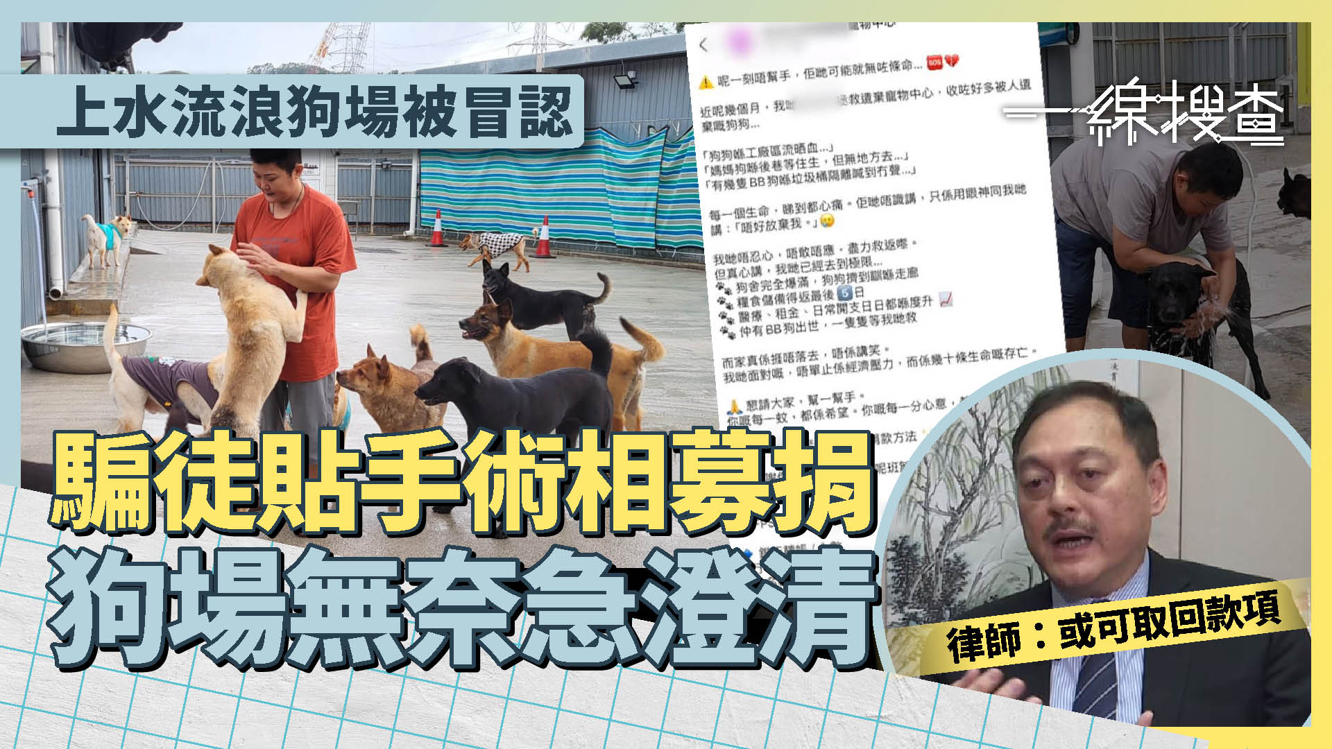 一線搜查｜扮慈善機構用動物慘況呃善款　狗場無奈急澄清　區議員：要睇清收錢戶口