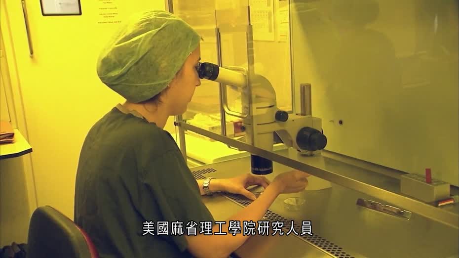 麻省理工學院AI研發新抗生素　有望治療淋病及「超級細菌」