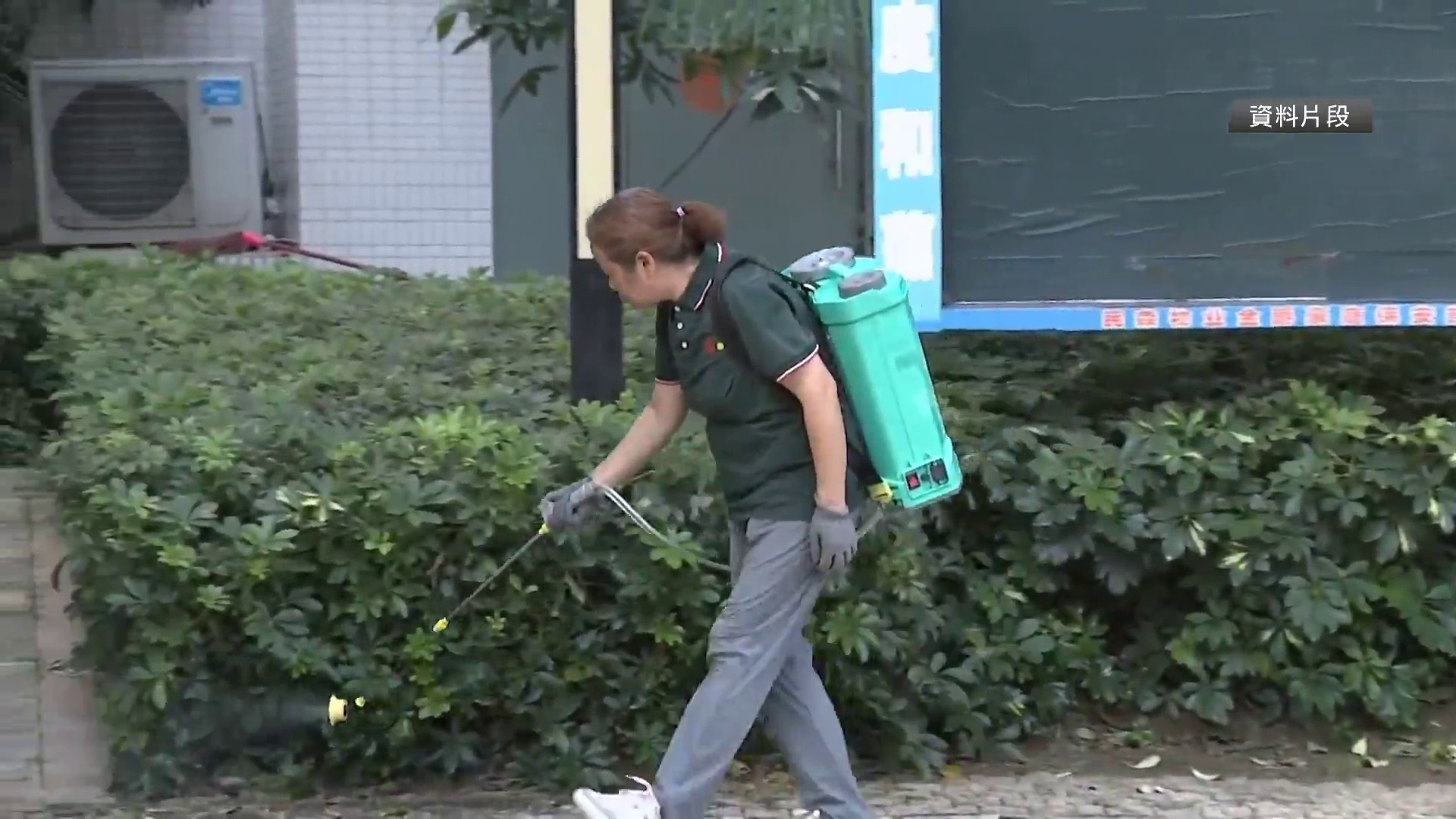 廣西多地發現基孔肯雅熱病例全屬輕症