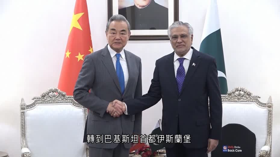 中巴外長共同主持第六次戰略對話
