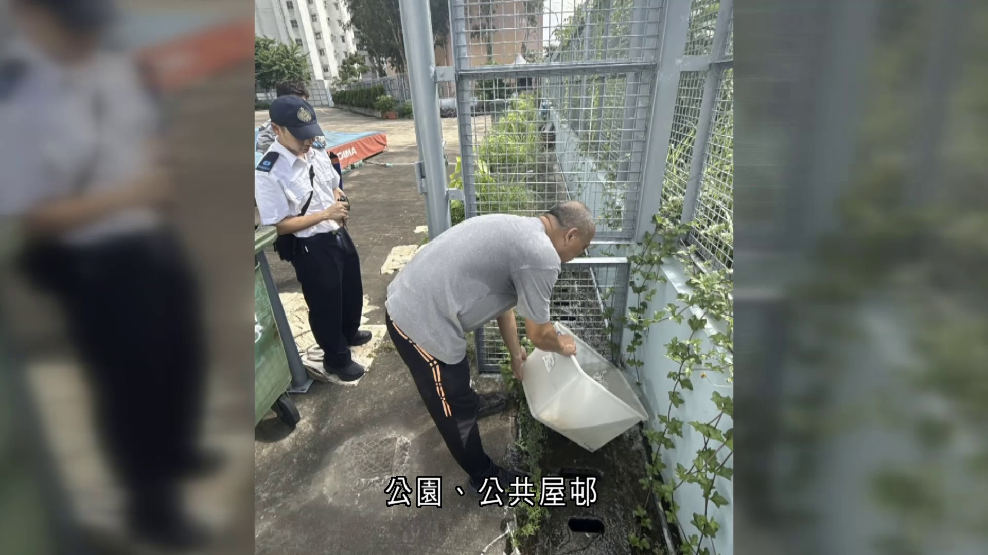 白紋伊蚊指數　青衣北、屯門西分別達12.7及%10.3%