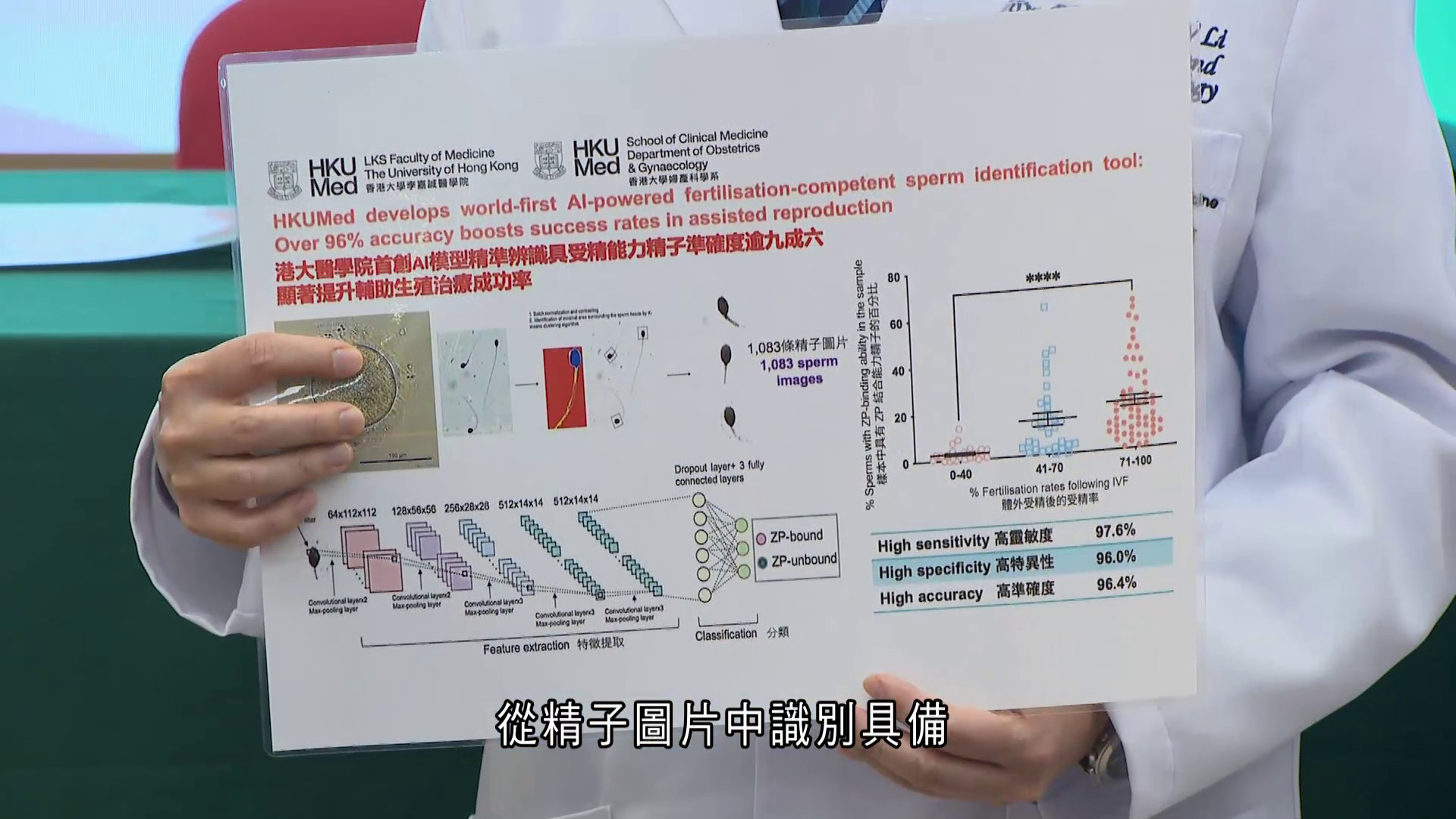 港大醫學院首創AI模型揀「靚精子」　準確度逾九成六　助提升人工受孕成功率