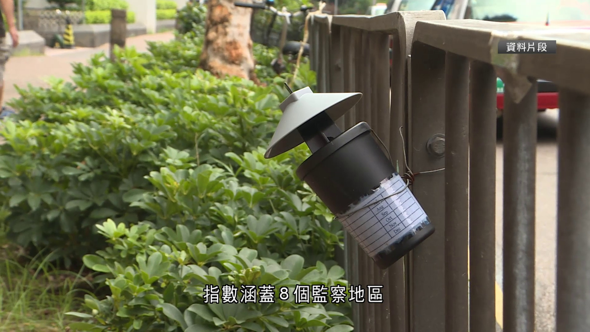 白紋伊蚊誘蚊器指數　紅磡區最嚴重　其次為荃灣市中心