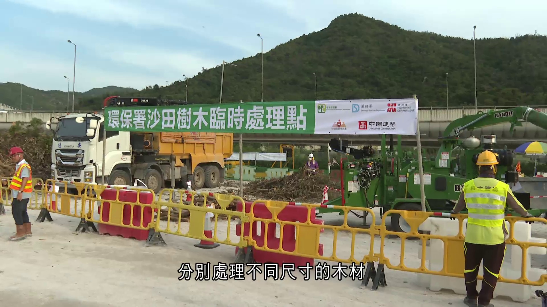 樺加沙｜環保署青衣、沙田設臨時處理點　加快清理塌樹木材