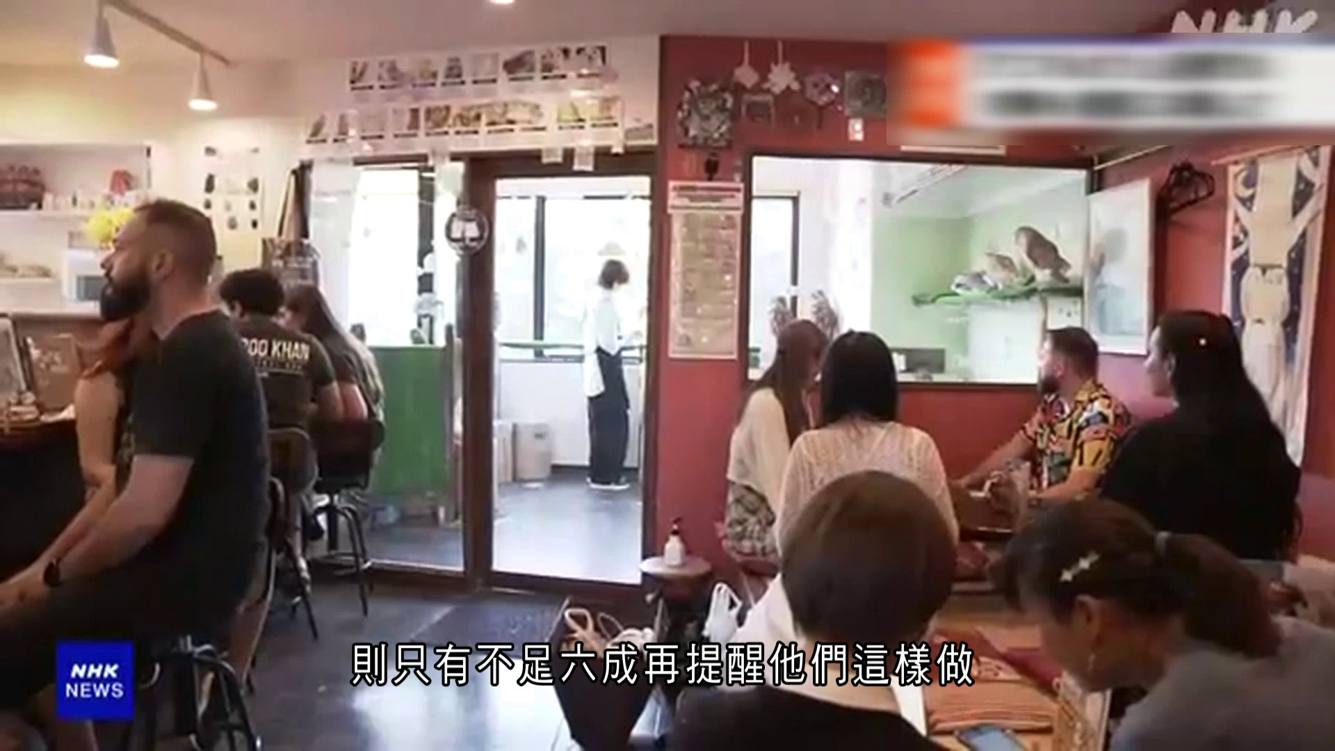 調查揭日本動物咖啡店防疫不足　或增傳染病風險　促加強立法