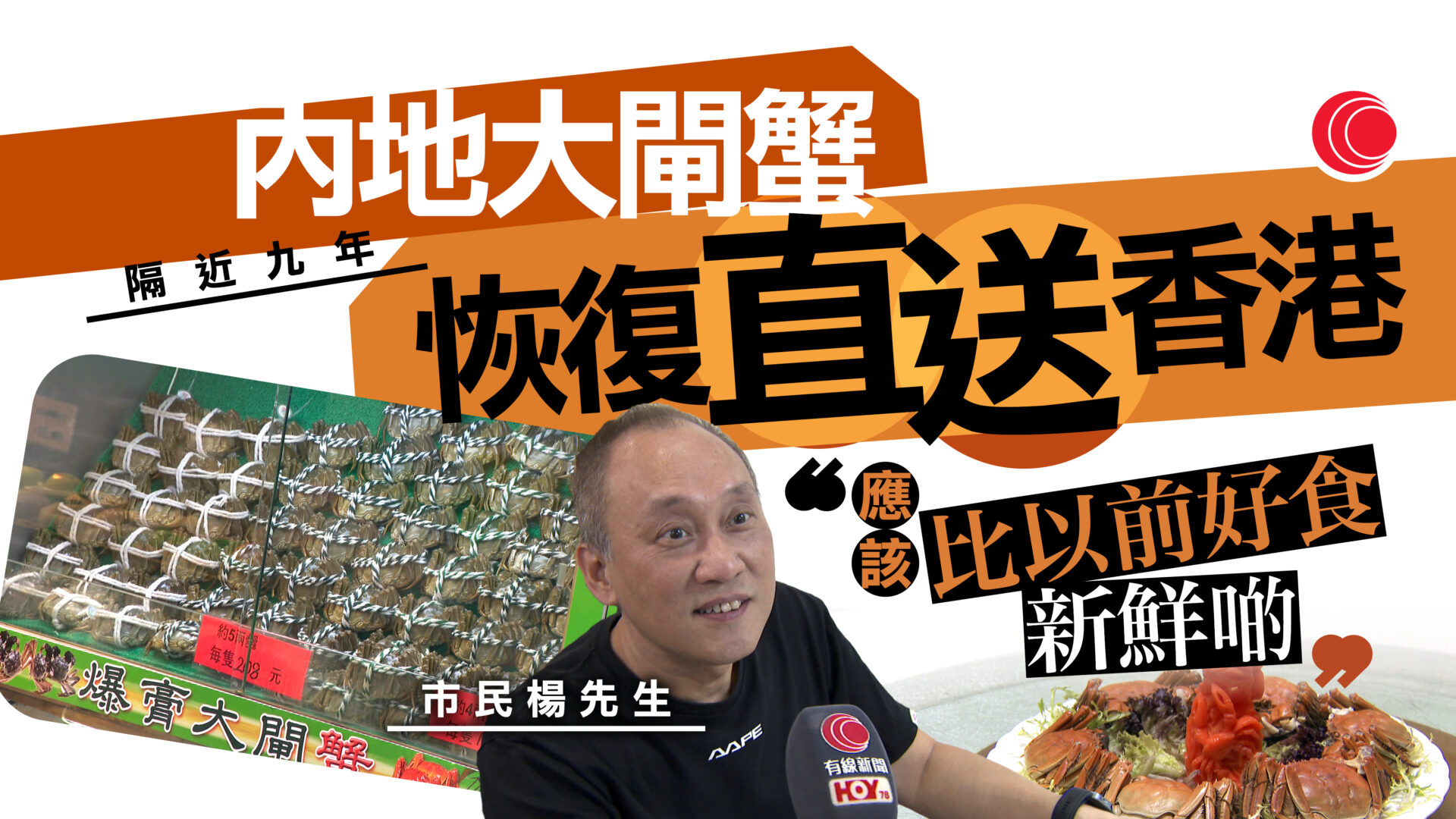 相隔近九年　江蘇大閘蟹直接供港　餐廳負責人：貨源穩定會優惠些