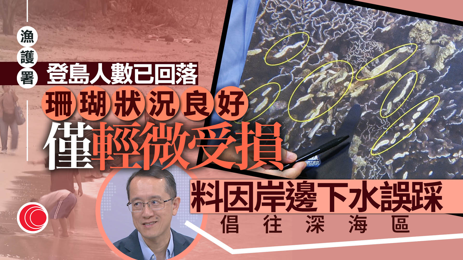 指橋咀島珊瑚輕微受損　漁護署副署長：疑浮潛者誤踩　區議員促限水上活動人數