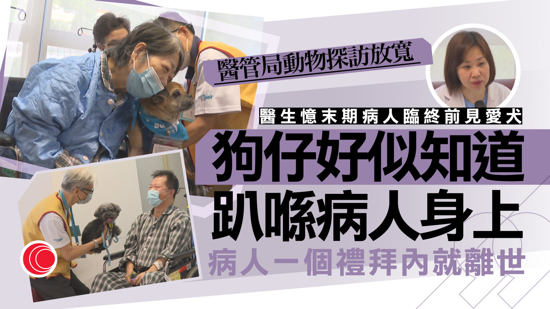 醫管局推彈性寵物探訪　冀長期、末期病患緩減焦慮