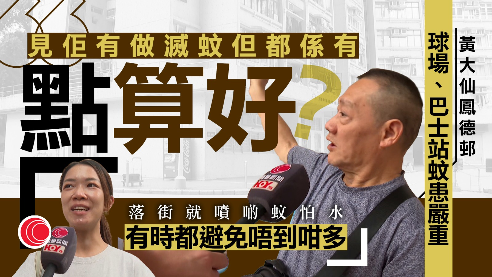 基孔肯雅熱|鳳德邨錄首宗本地個案 居民指區內蚊患嚴重 街坊:避唔到咁多、自己小心啲