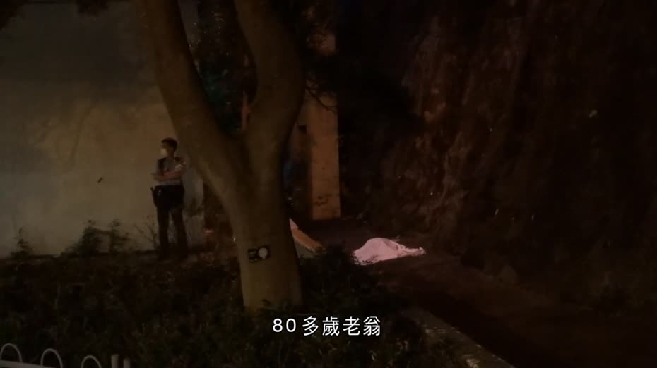 青衣長亨邨八旬翁墮樓亡　警登住所見一女屍