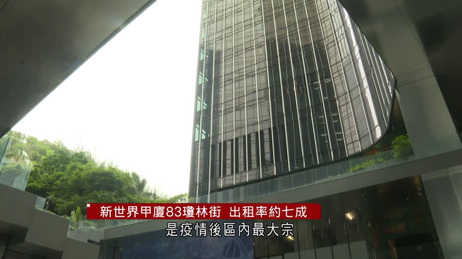 新世界甲廈83瓊林街　出租率約七成