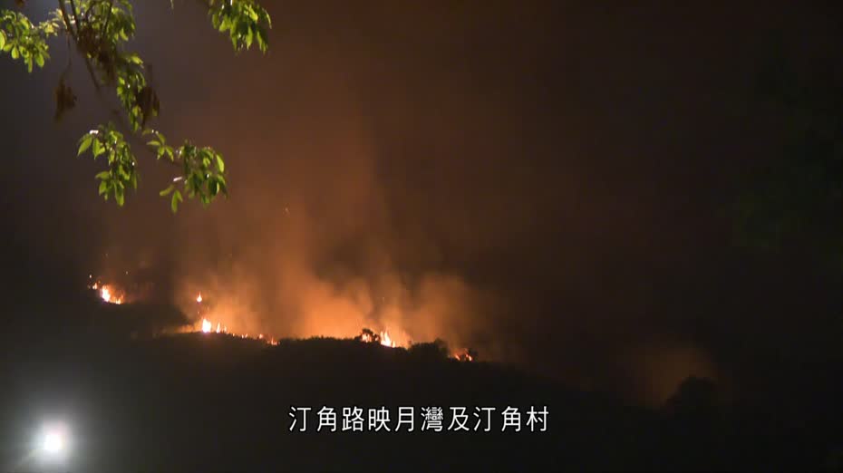 大埔汀角路發生山火　現至少三火線　消防員登山撲救