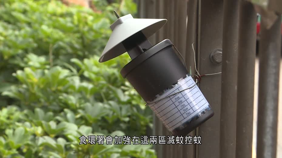 紅磡、啟德北白紋伊蚊指數逾10%　食環署將加強滅蚊