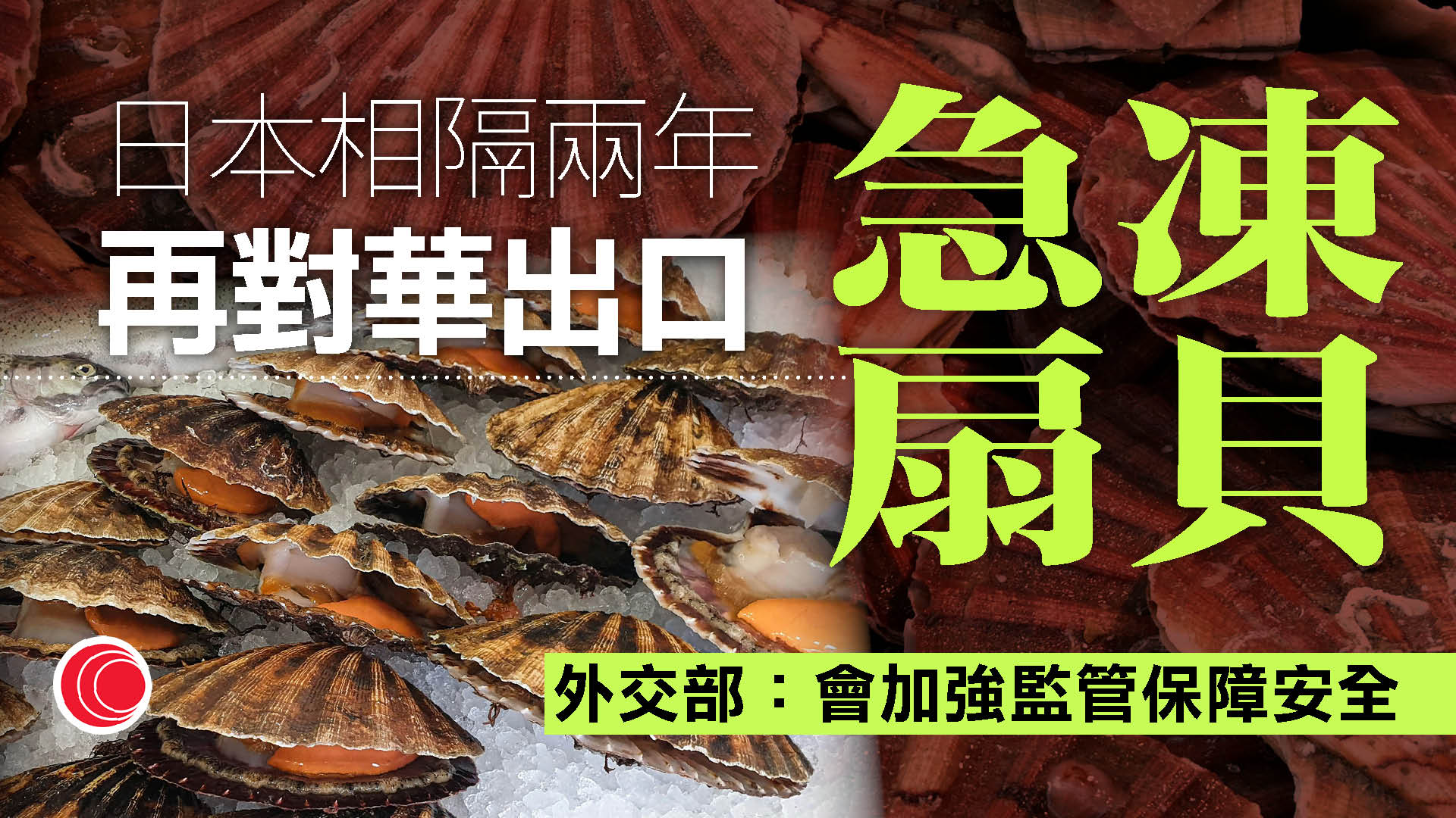 日本恢復對華出口北海道急凍扇貝　中方：會加強監管保障安全