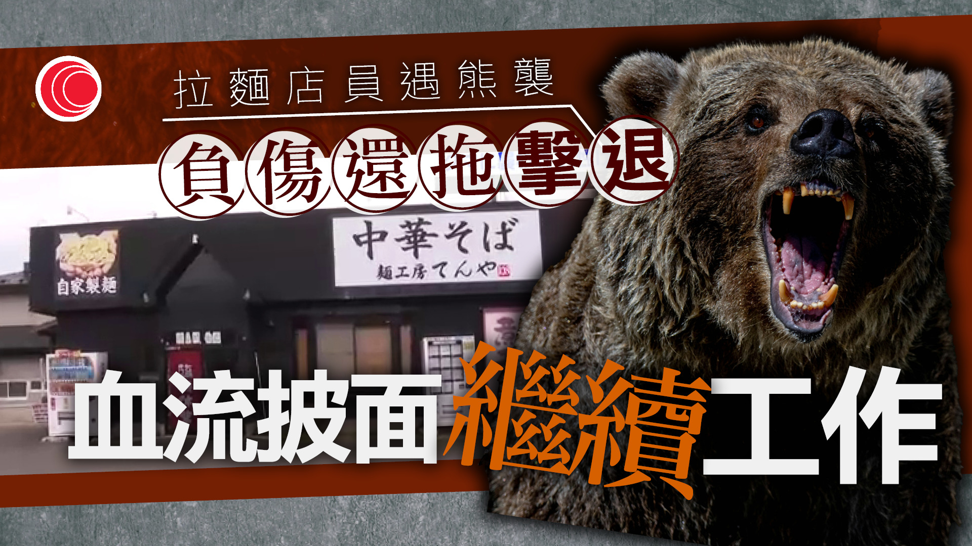 日本熊災｜清晨獨自開舖遭熊襲　拉麵店員「誤會下」反擊得手　臉部受傷幸無大礙