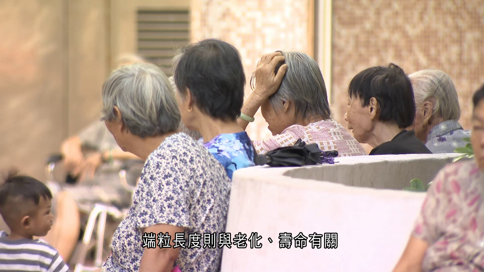 世界轉一圈｜研究指高溫或加速人體老化　兩年內歷3天熱浪、生物年齡即增加8天