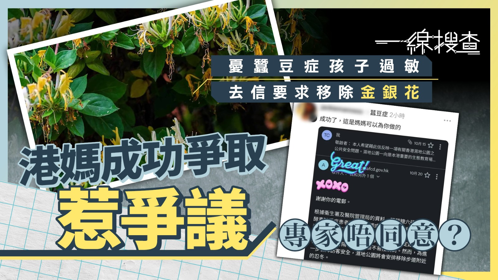 一線搜查｜指金銀花有安全風險　港媽去信要求移除　漁護署「從善如流」惹熱議