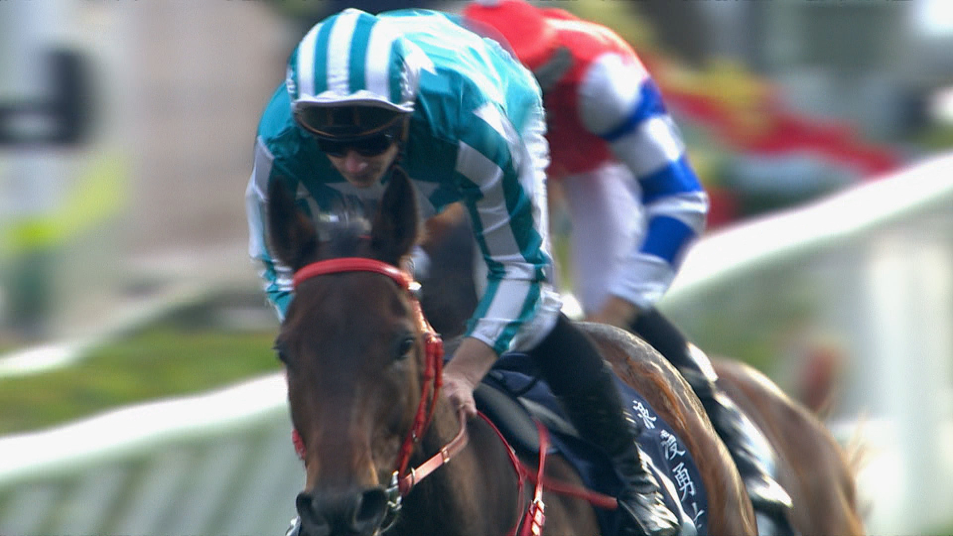 香港盃「浪漫勇士」創歷史四連霸　「嘉應高昇」蟬聯短途錦標　16連勝平「金鎗六十」紀錄