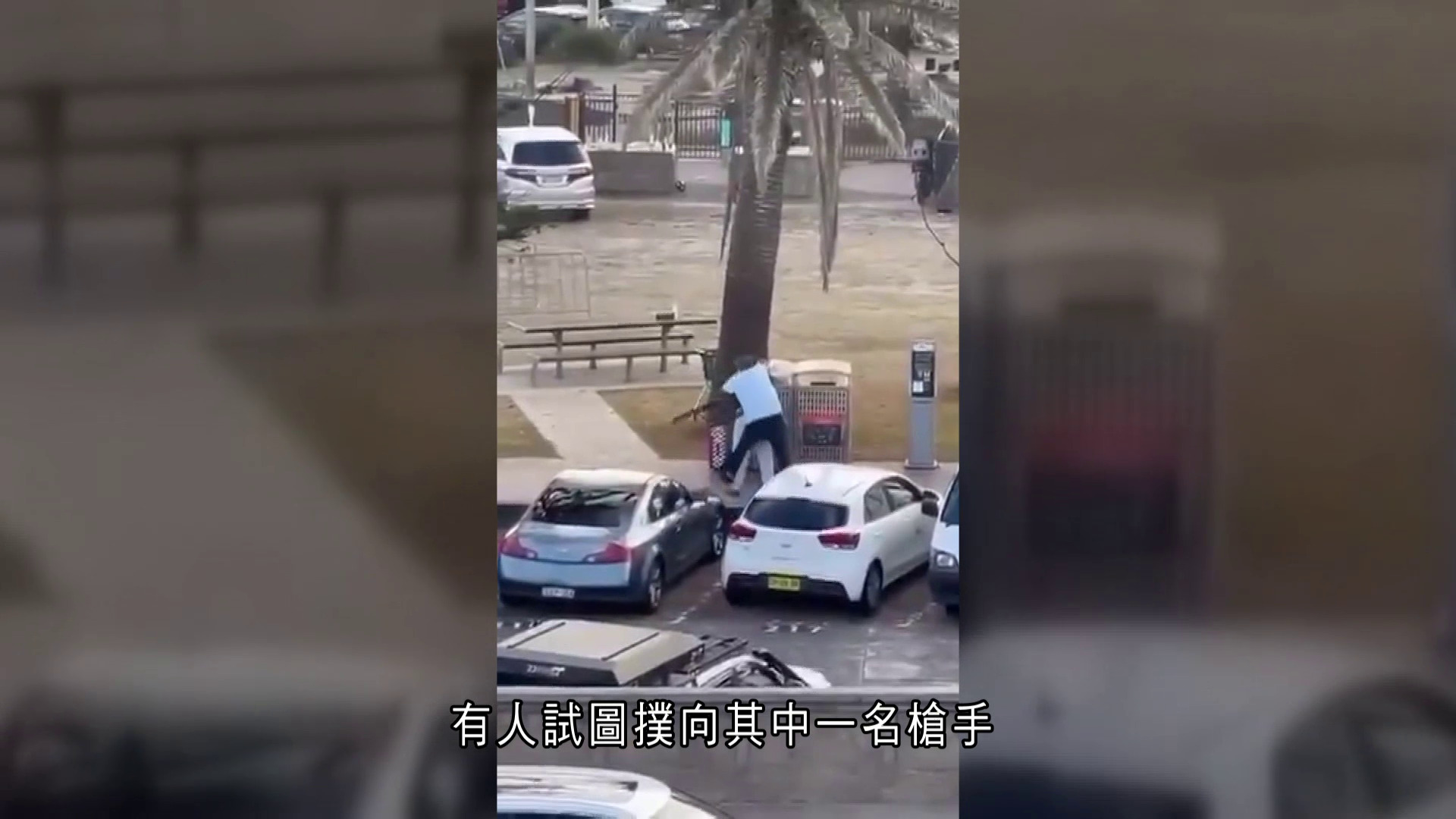 悉尼海灘槍擊案｜父子槍手掃射釀16死　水果店老闆搶槍救人中彈　總理擬加強槍械管制