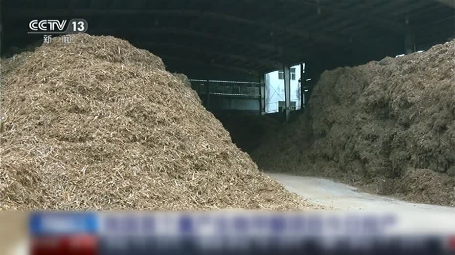 內地首個量產生物甲醇項目投產