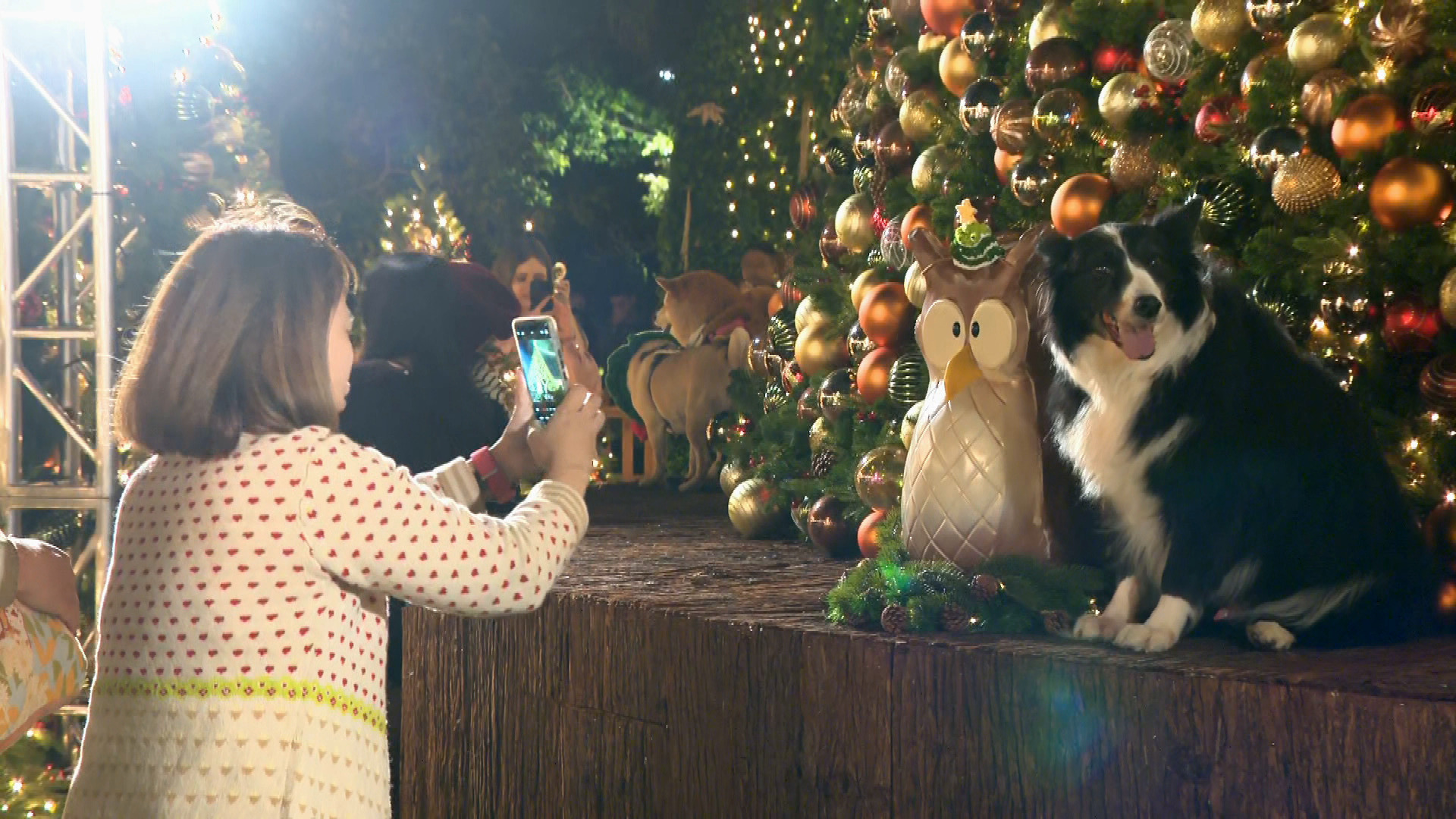 西九聖誕小鎮因宏福苑火災延期開幕　馮程淑儀：盼以藝術作治療慰藉