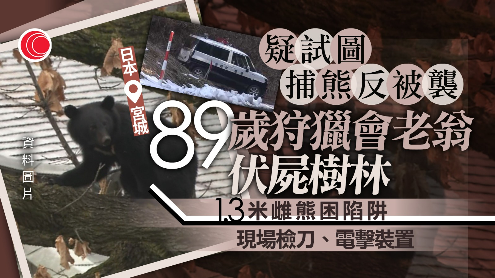 日本宮城縣男子疑遭熊襲擊　伏屍樹林