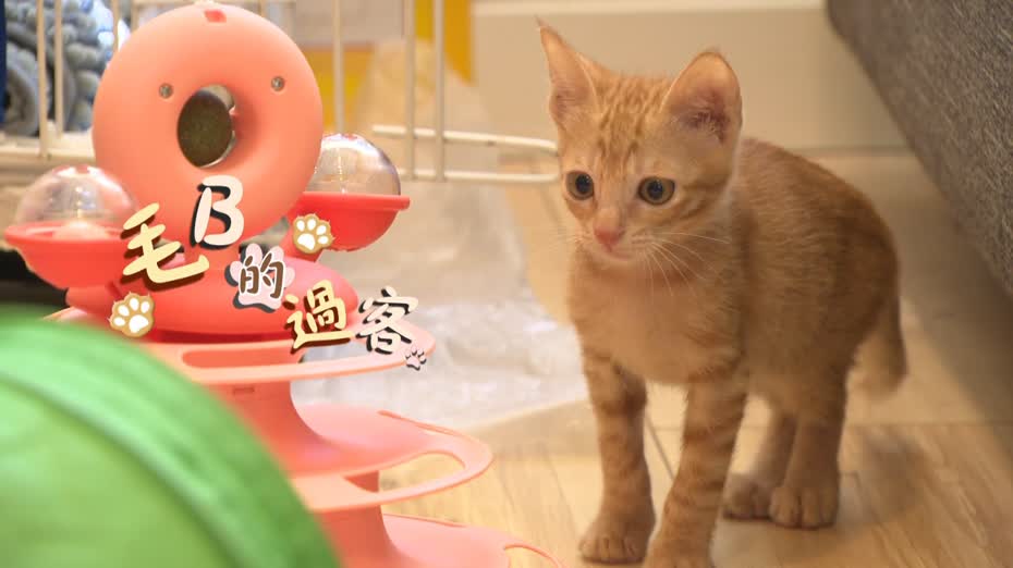 人物．故事｜毛B的過客．李思敏