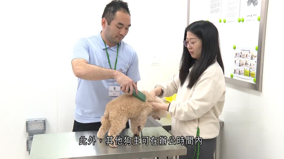 漁護署新動物管理大樓檢疫房增加　進口貓狗輪候來港時間縮短