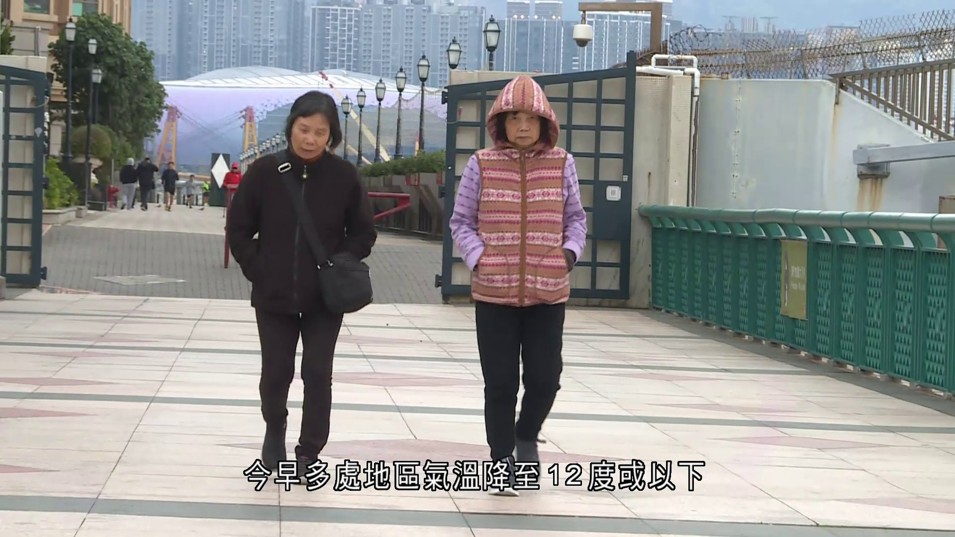今早多區氣溫降至12度或以下　天文台錄入冬以來最低紀錄