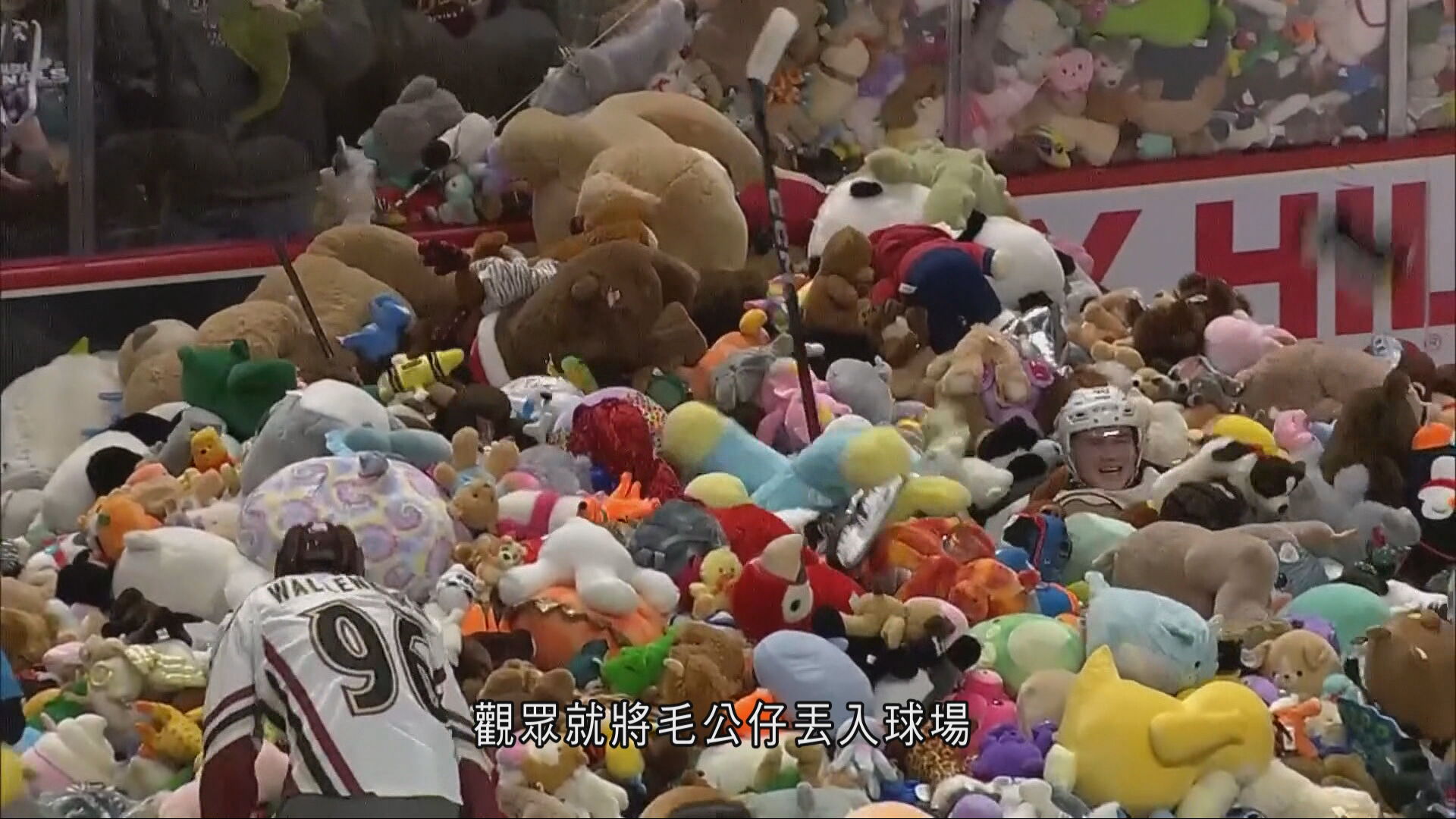美國冰球賽「熊仔雨」再現　今年收集逾八萬隻