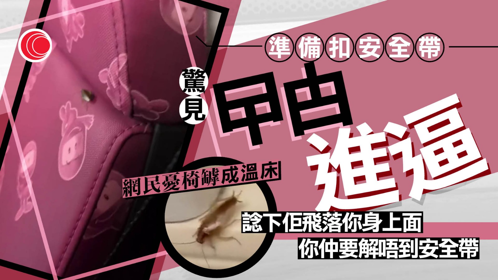 安全帶｜「扣罅」恐淪昆蟲安樂窩　網民搭巴士拉安全帶　意外驚醒「小強」橫行