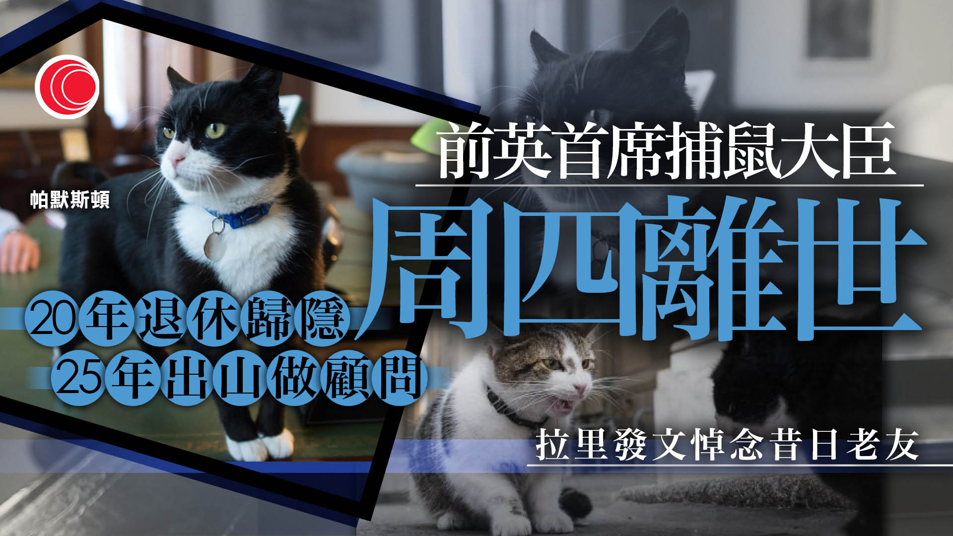 英外交部前首席捕鼠大臣離世　「冤家」首相府第一貓致哀